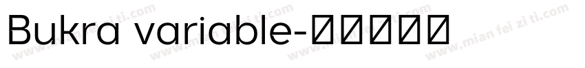 Bukra variable字体转换